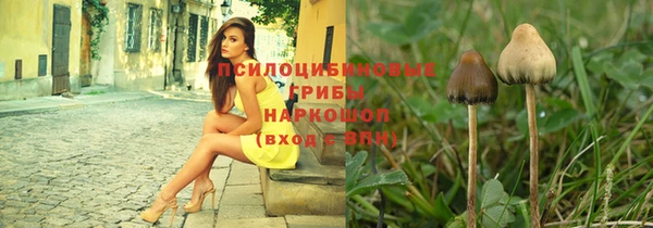 дживик Алексеевка
