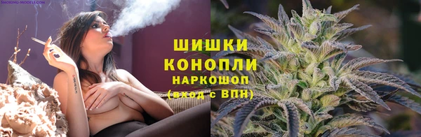 дживик Алексин